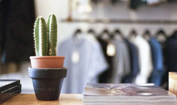 A cactus sits on a table in a clothing shop.