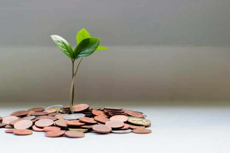 Una planta frondosa en medio de un montón de monedas.